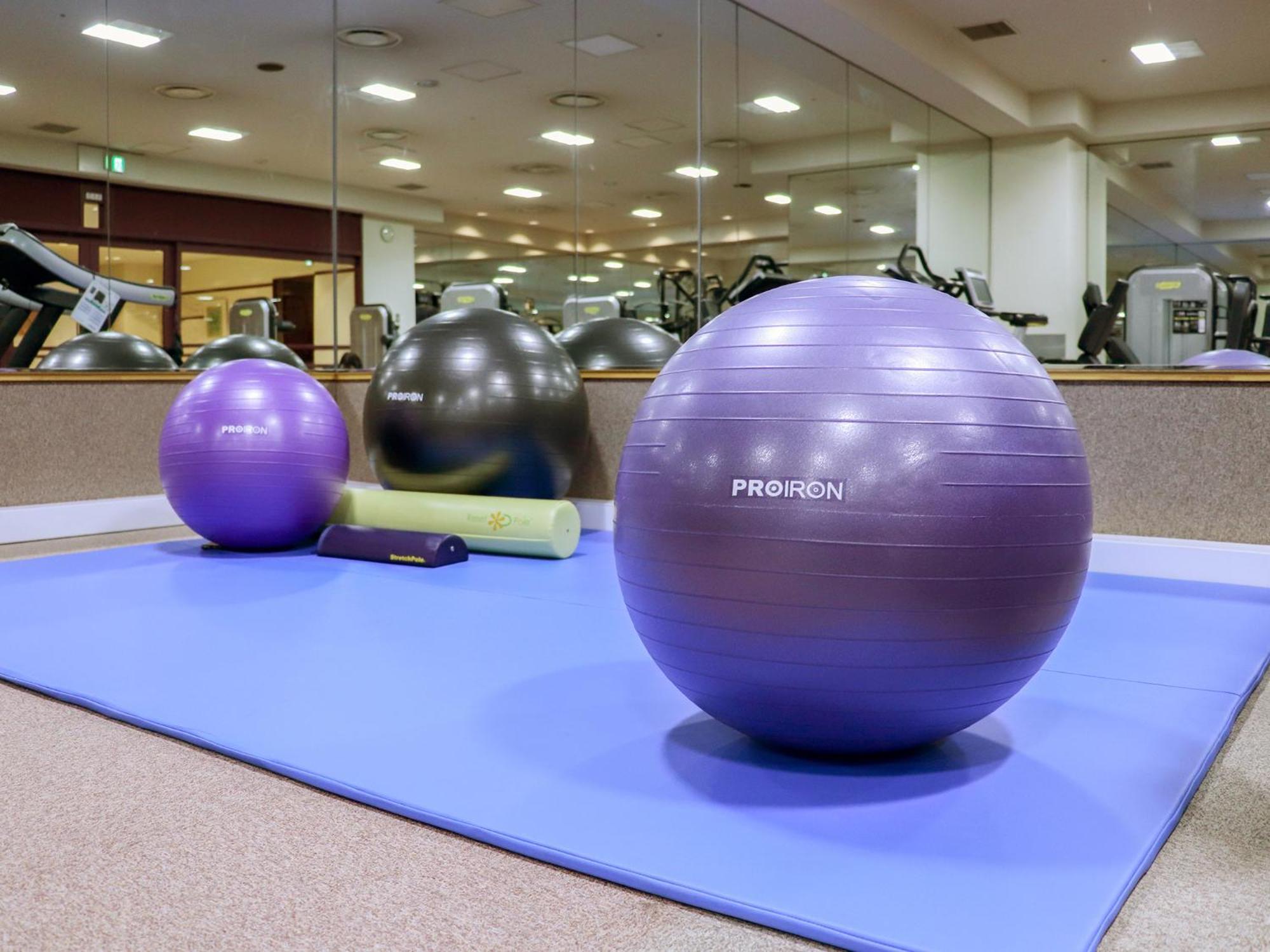 Premier Hotel -Tsubaki- סאפורו מראה חיצוני תמונה Swiss exercise ball